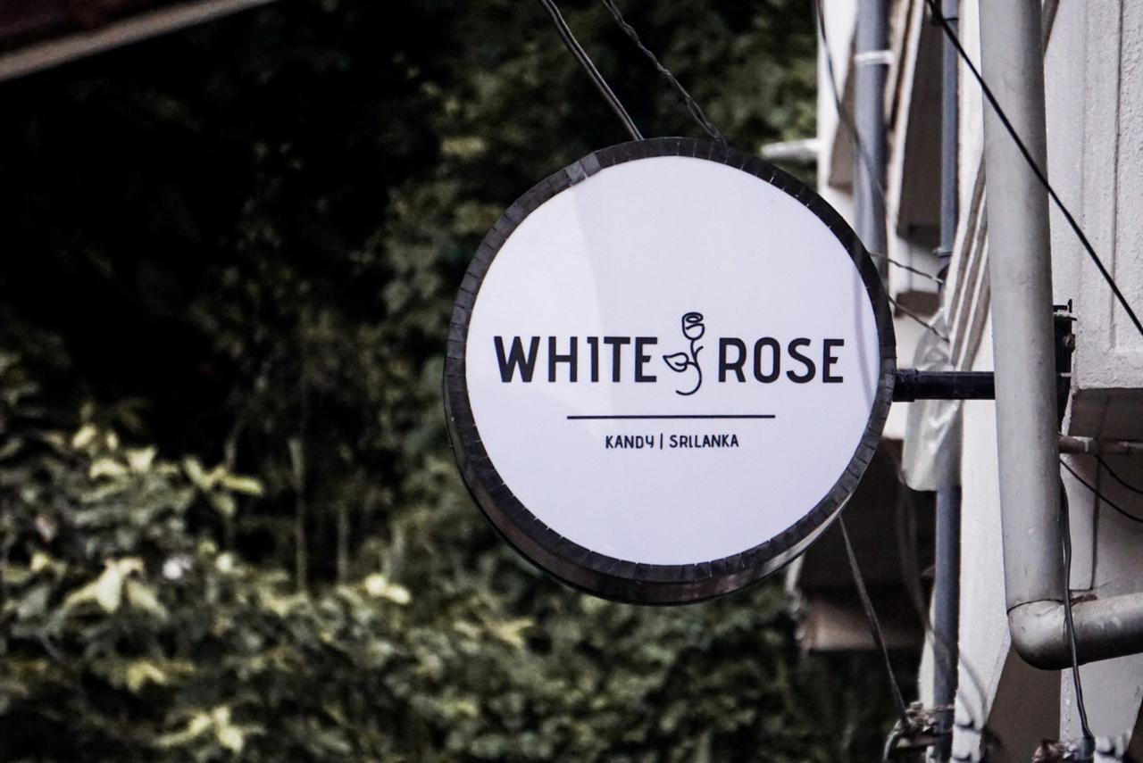 White Rose Hostel キャンディー エクステリア 写真